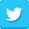 Leave Monitor twitter page